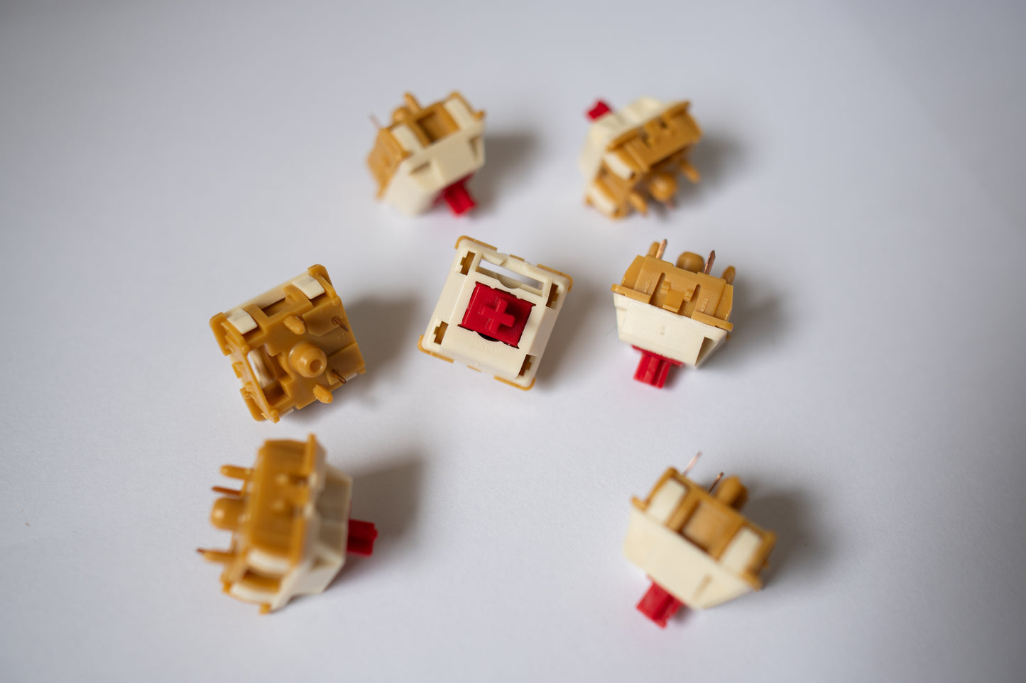 BSUN Strawberry Cheesecake switch