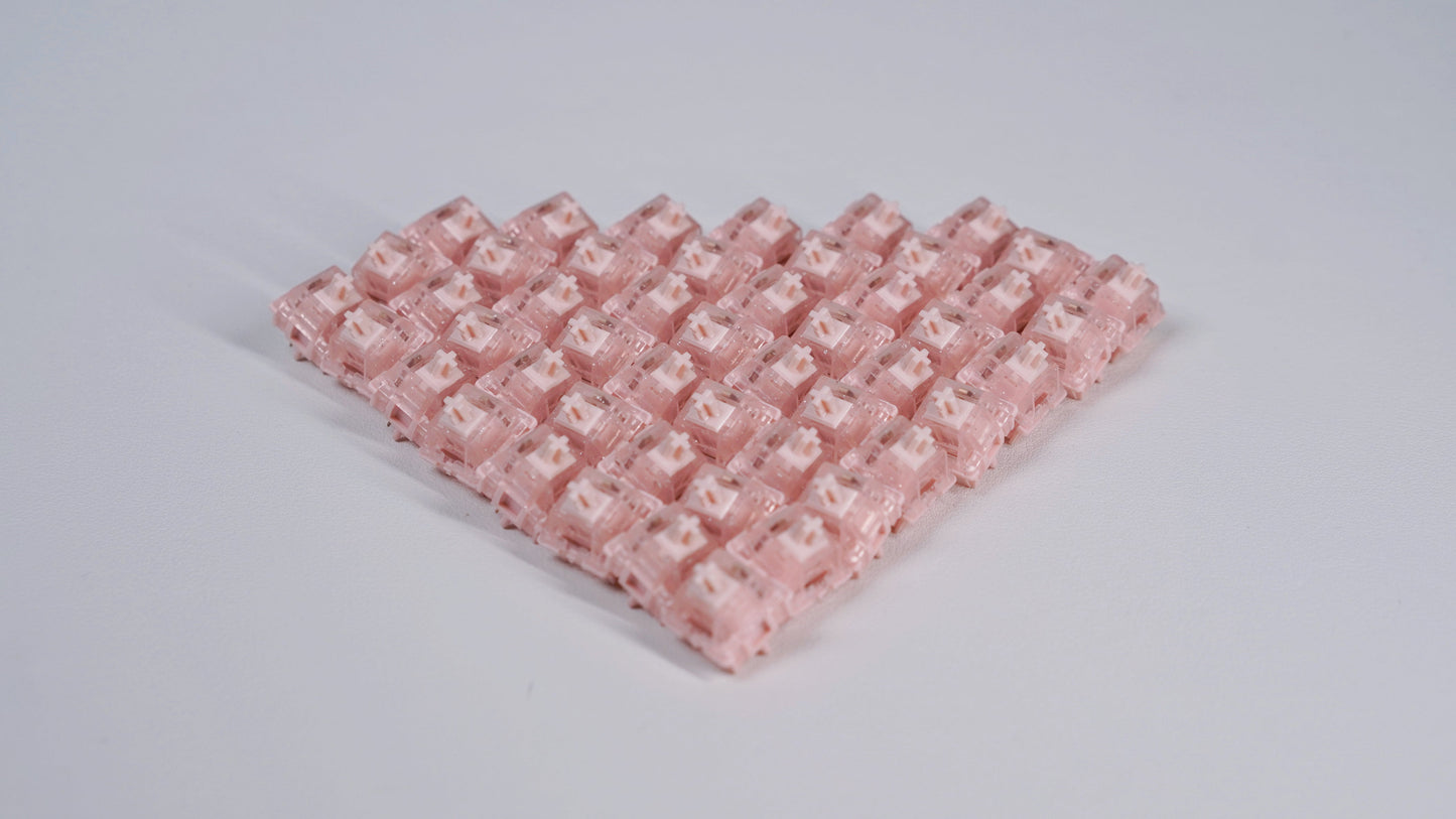 BSUN Hutt Tactile Switch