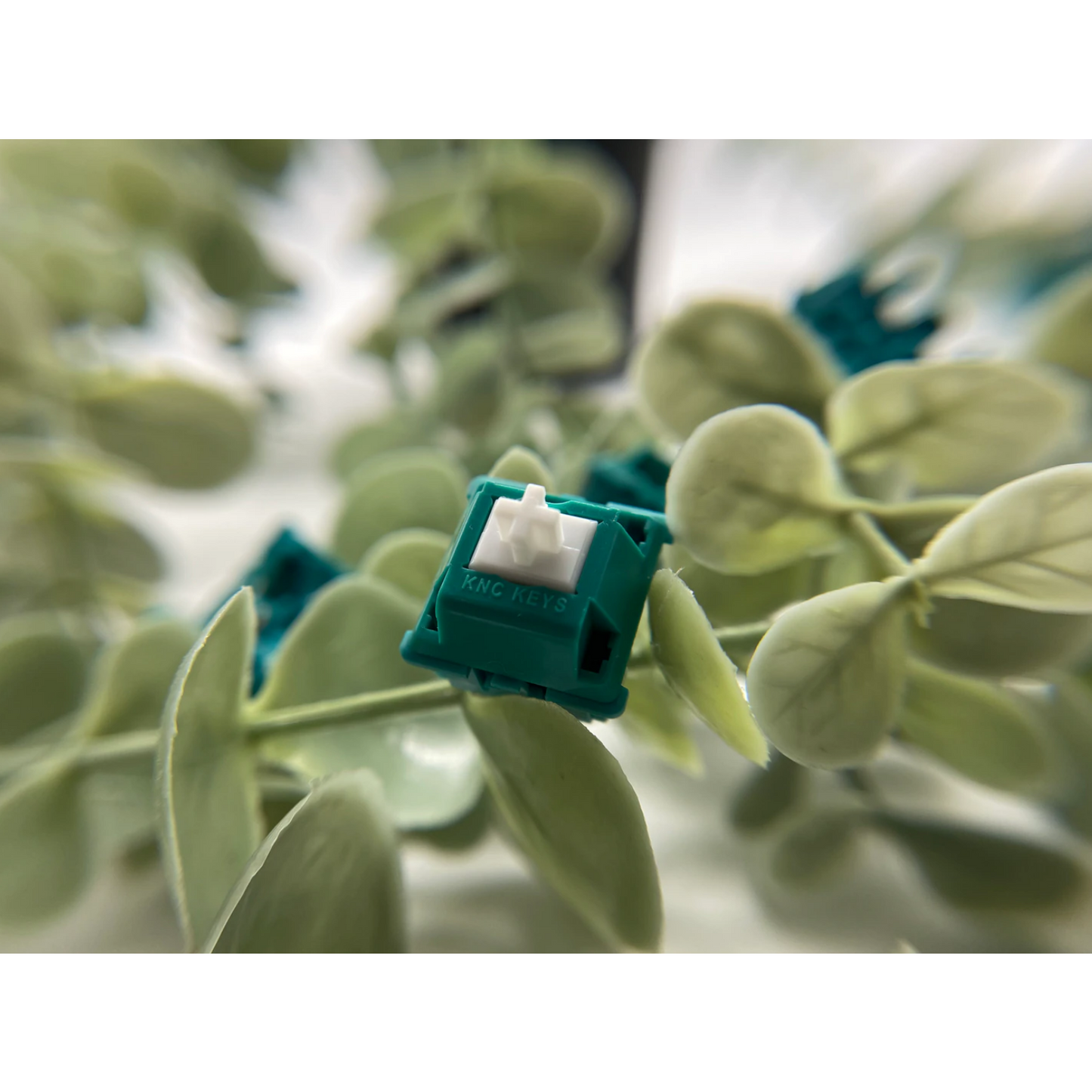KNC Keys Green Jacket Tactile Switch