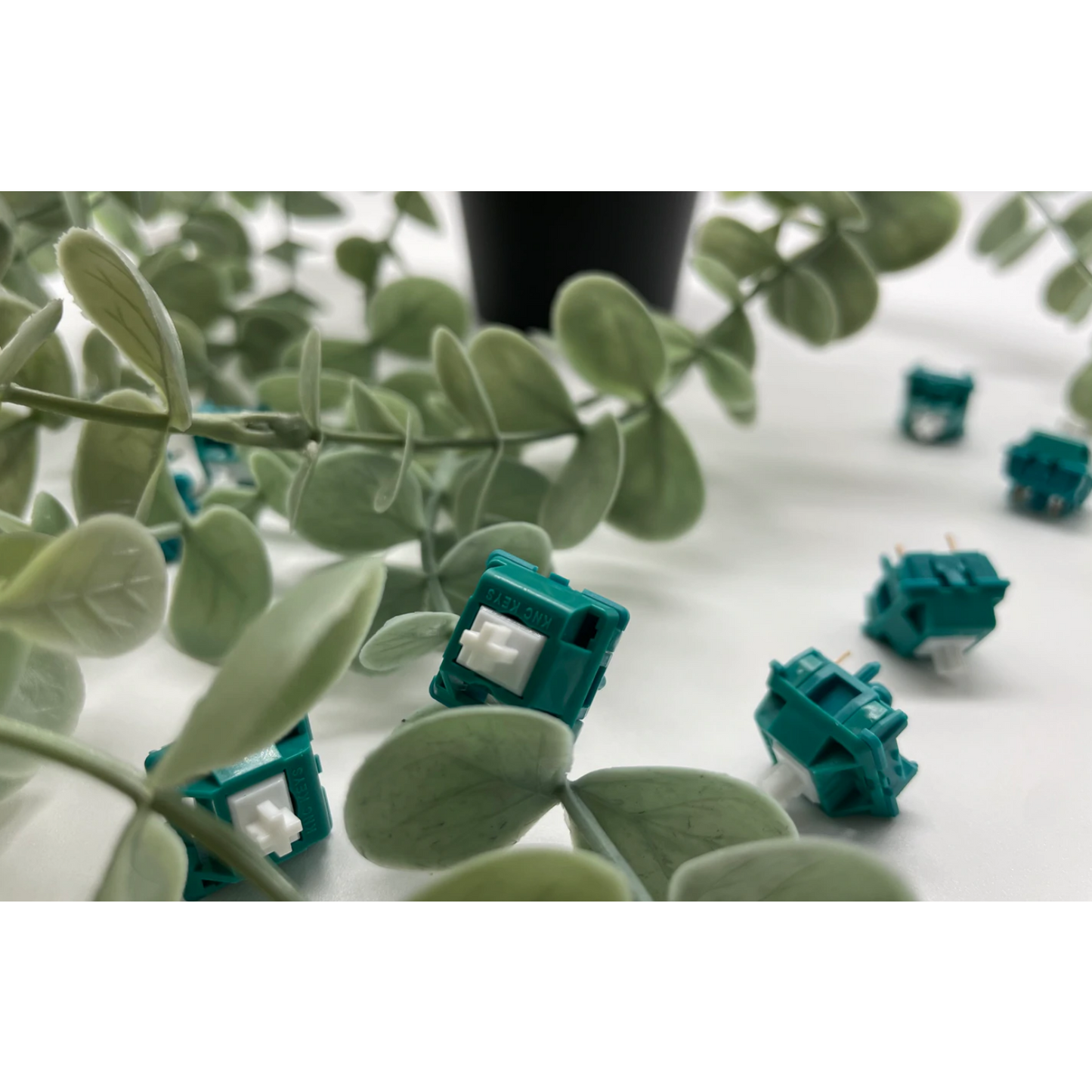KNC Keys Green Jacket Tactile Switch