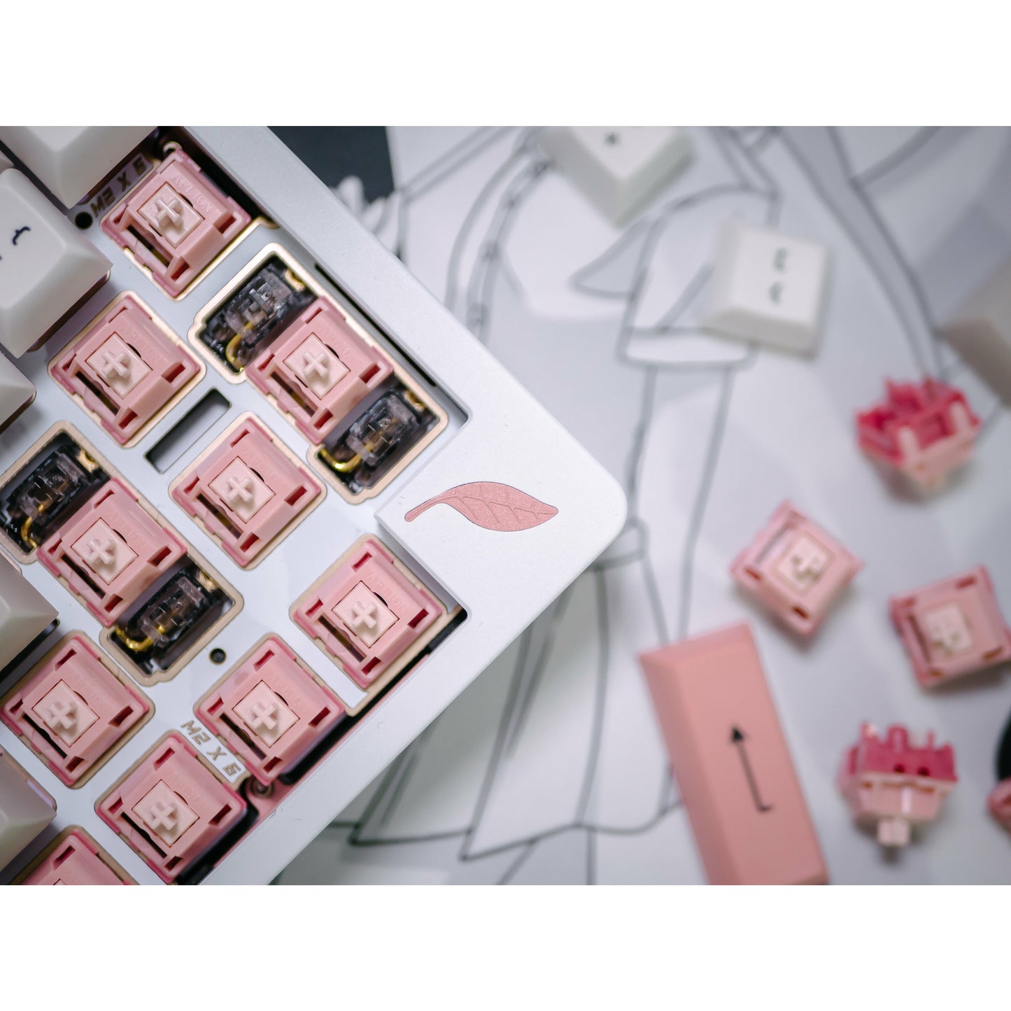 Blush Linear Switch