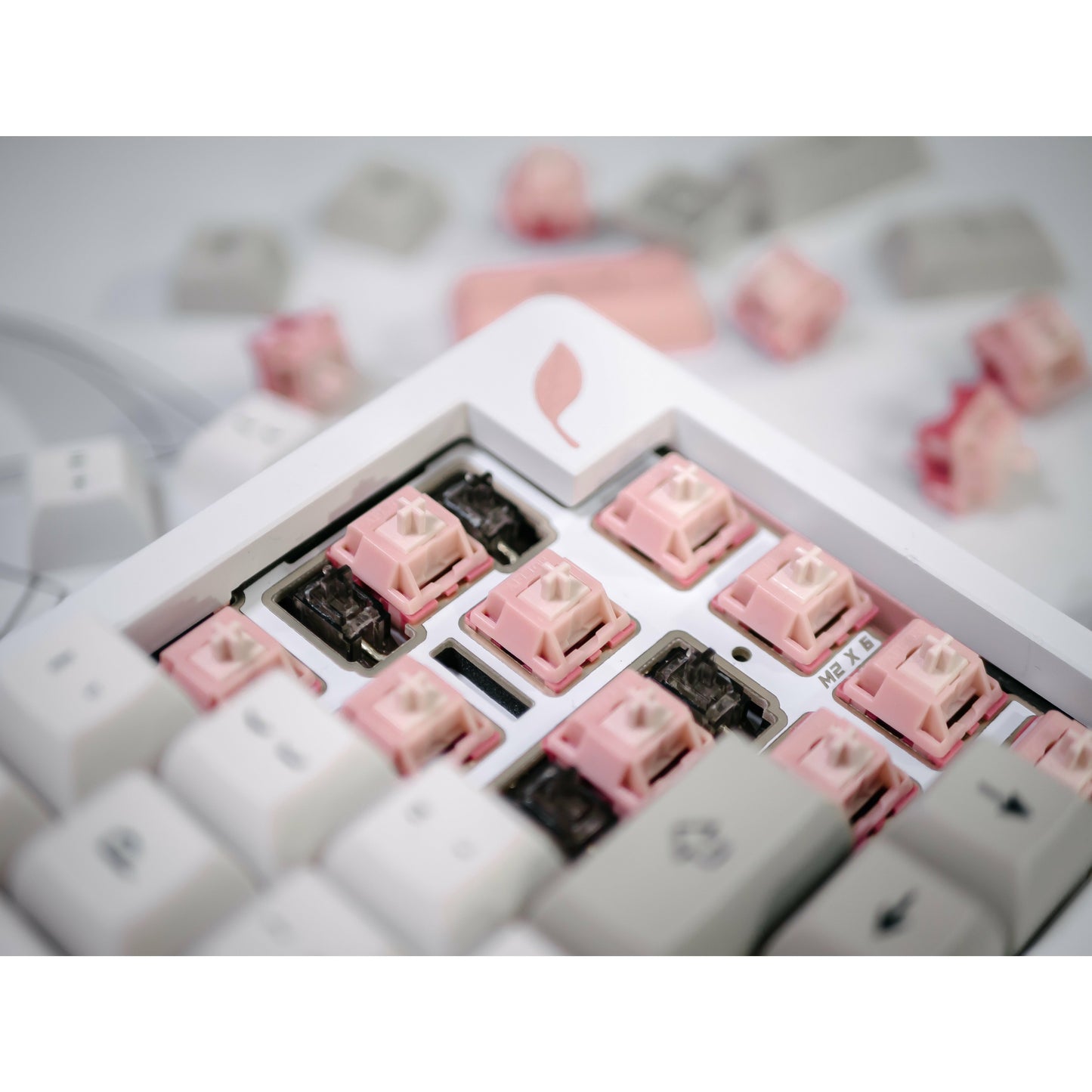 Blush Linear Switch