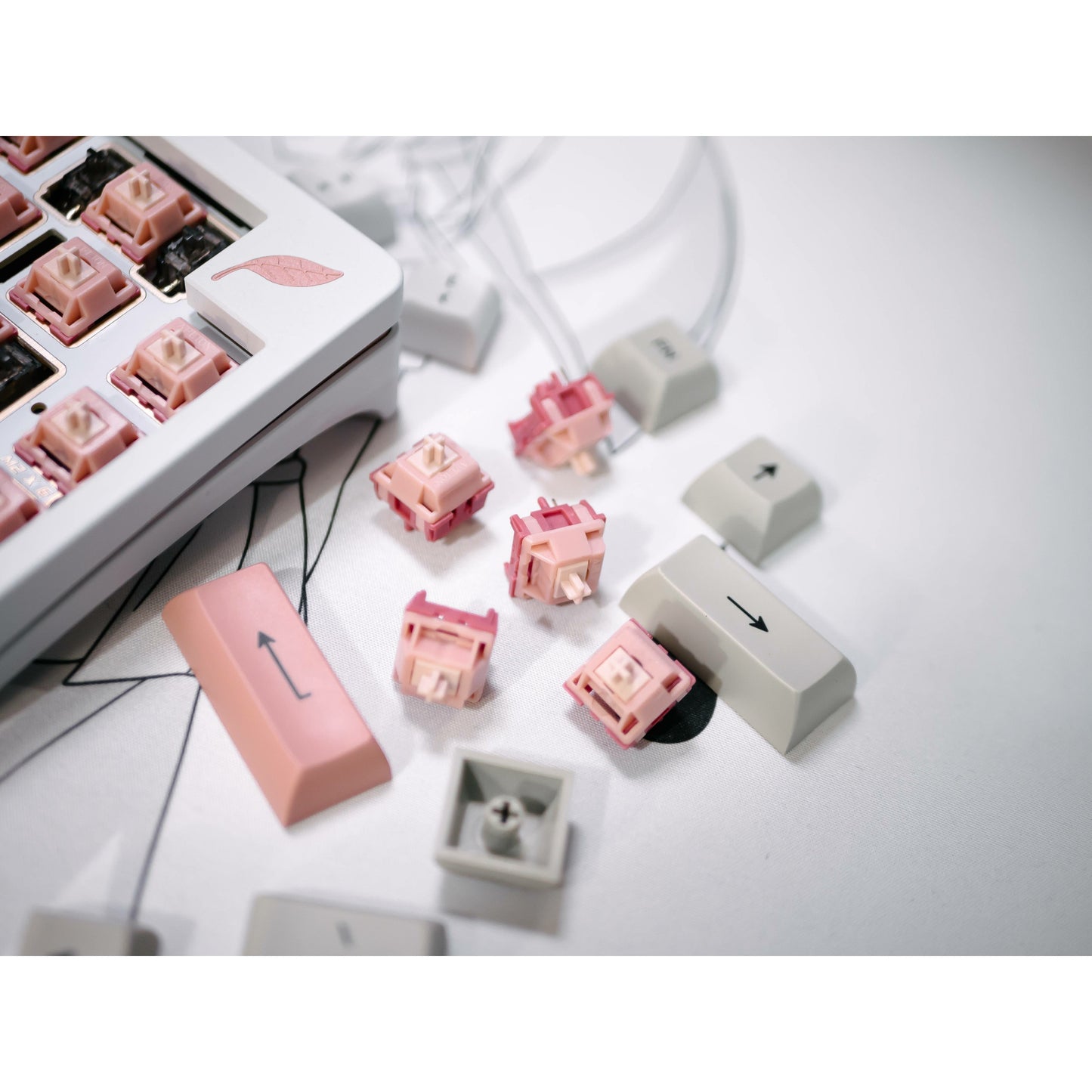 Blush Linear Switch